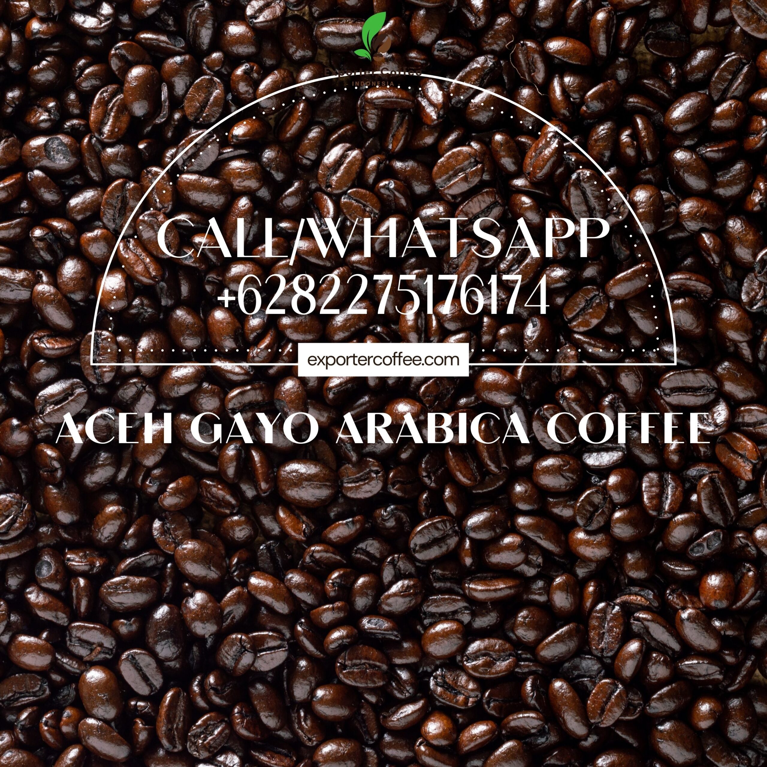 Aceh Gayo Arabica Coffee