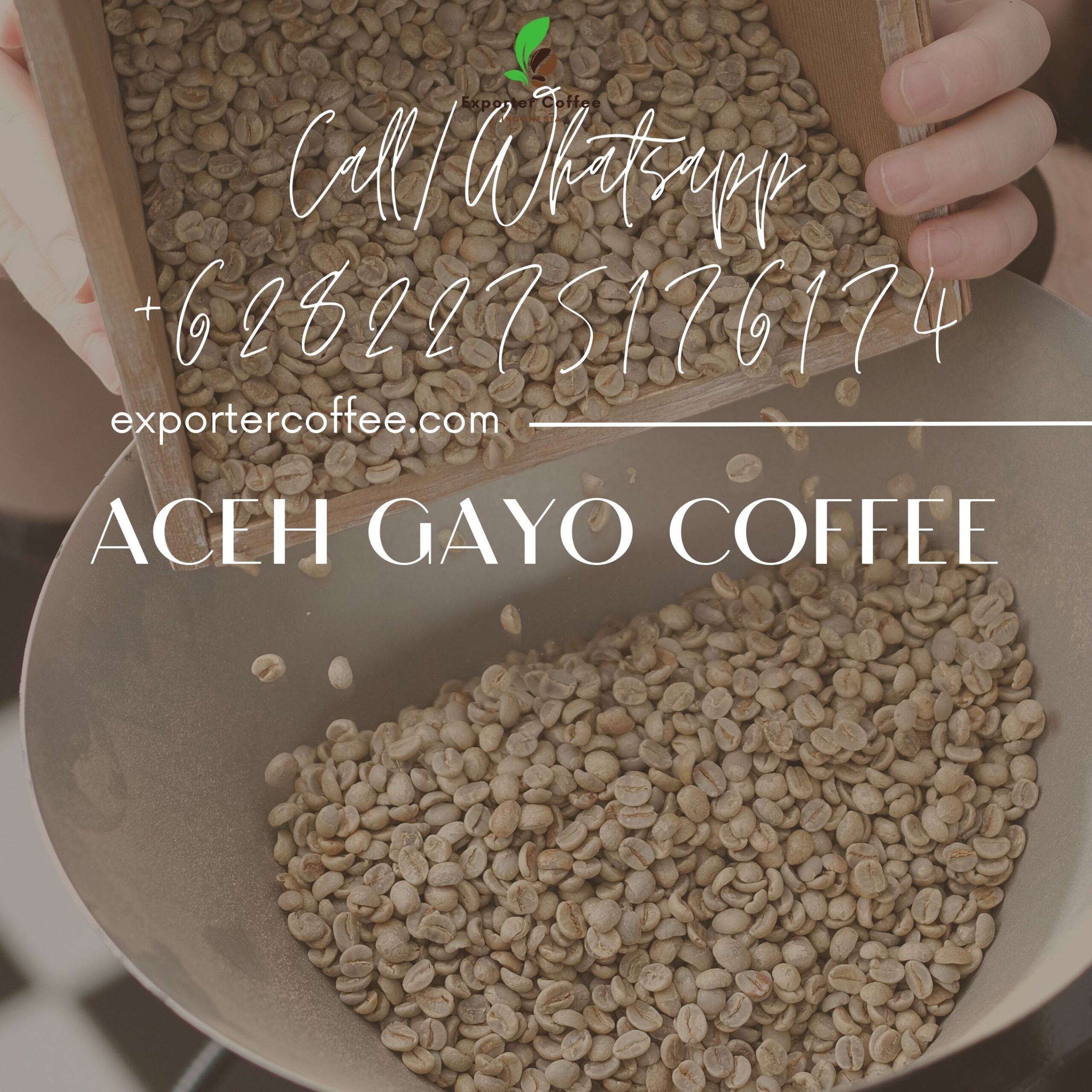 Aceh Gayo Coffee