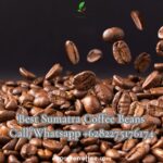 Best Sumatra Coffee Beans: A Premium Choice for Coffee Connoisseurs