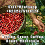 Buying Green Coffee Beans Wholesale