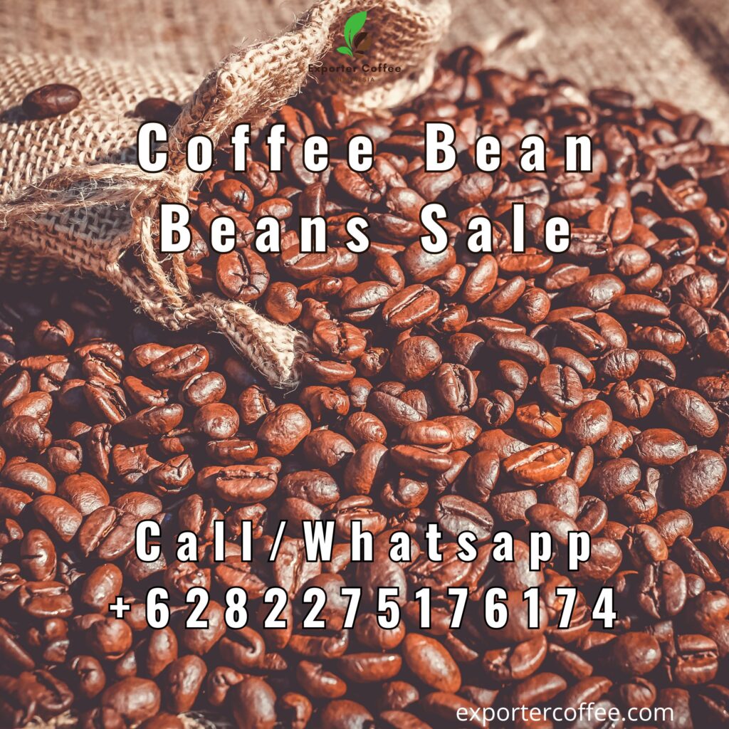 Coffee Bean Beans Sale