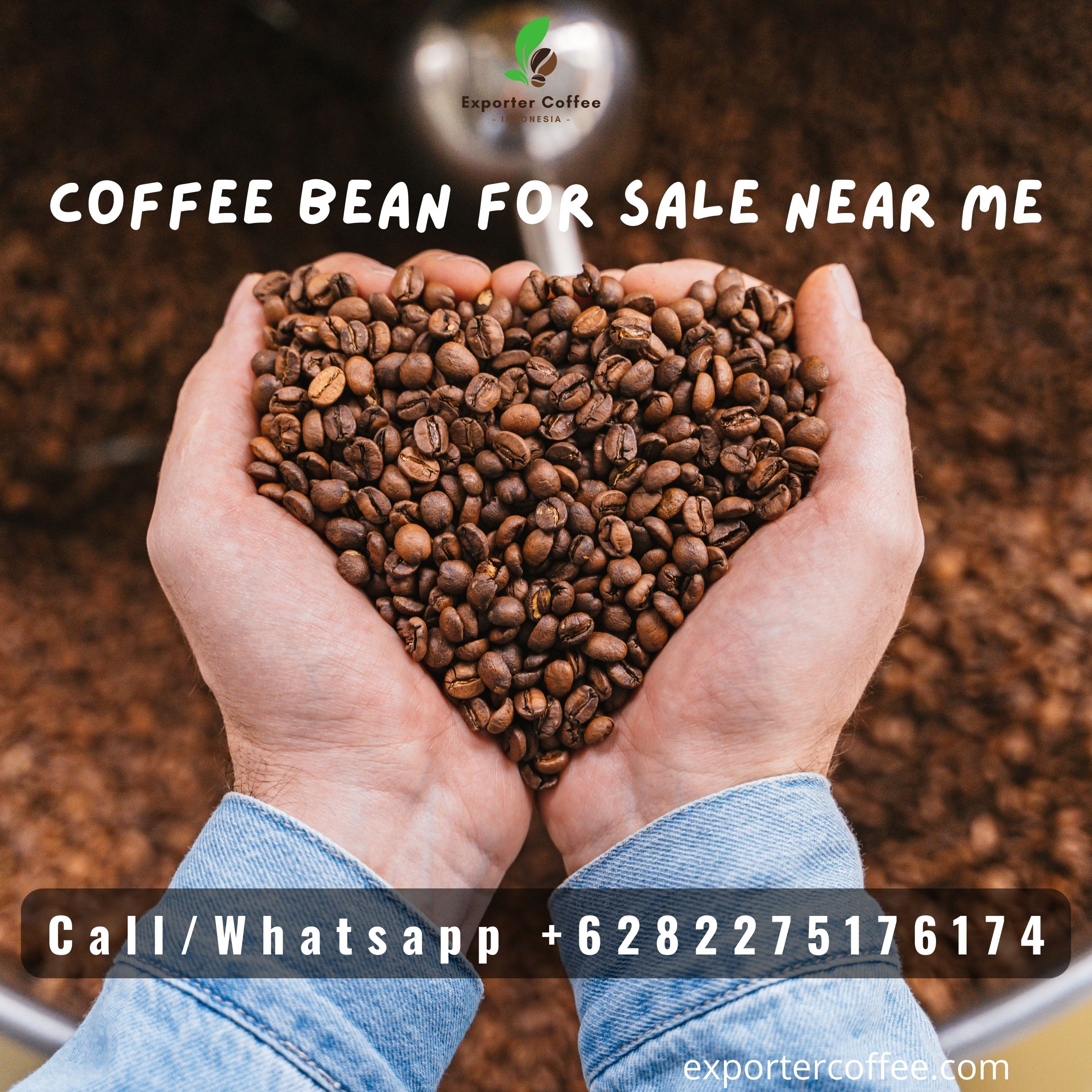 Coffee Bean for Sale Near Me