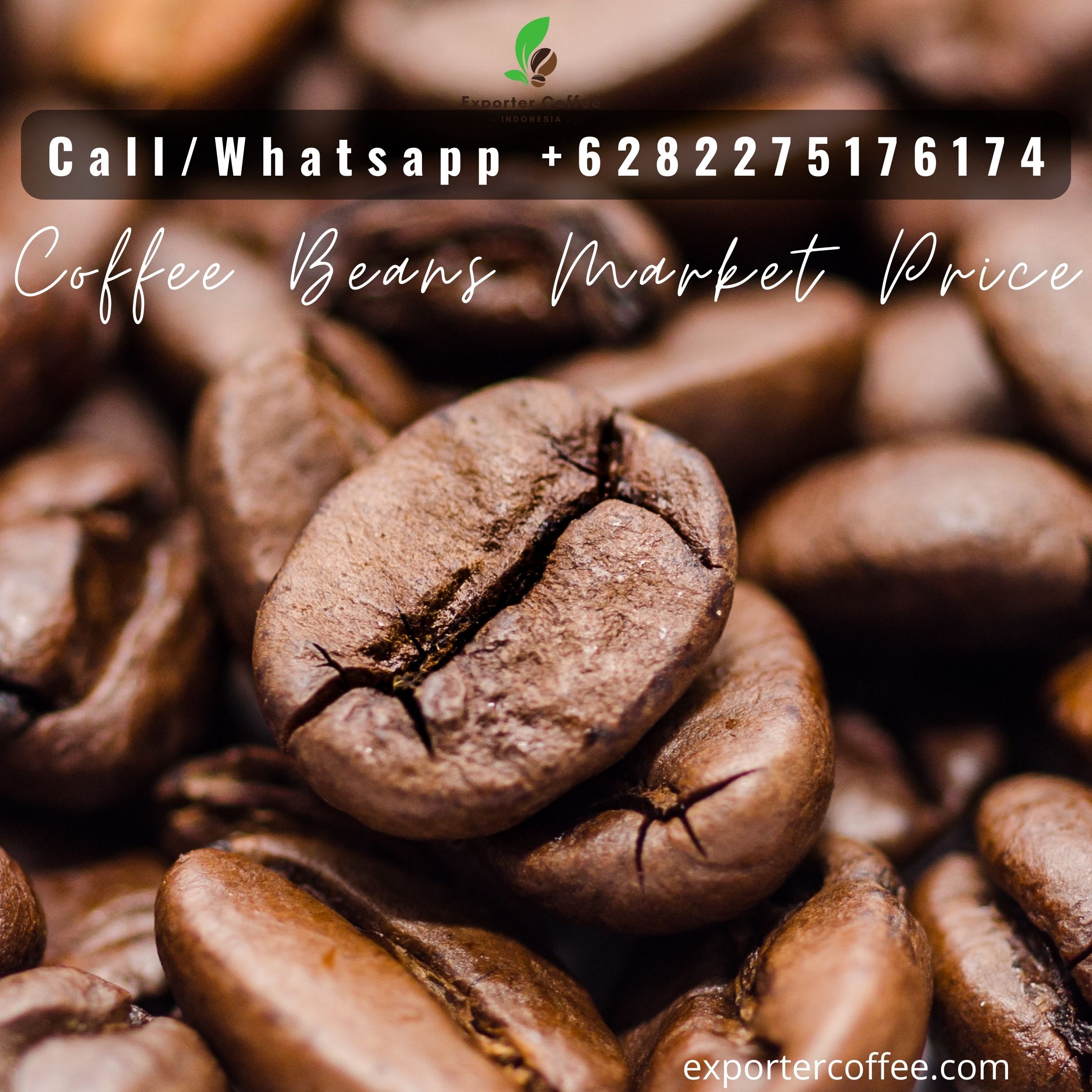 Coffee Beans Market Price