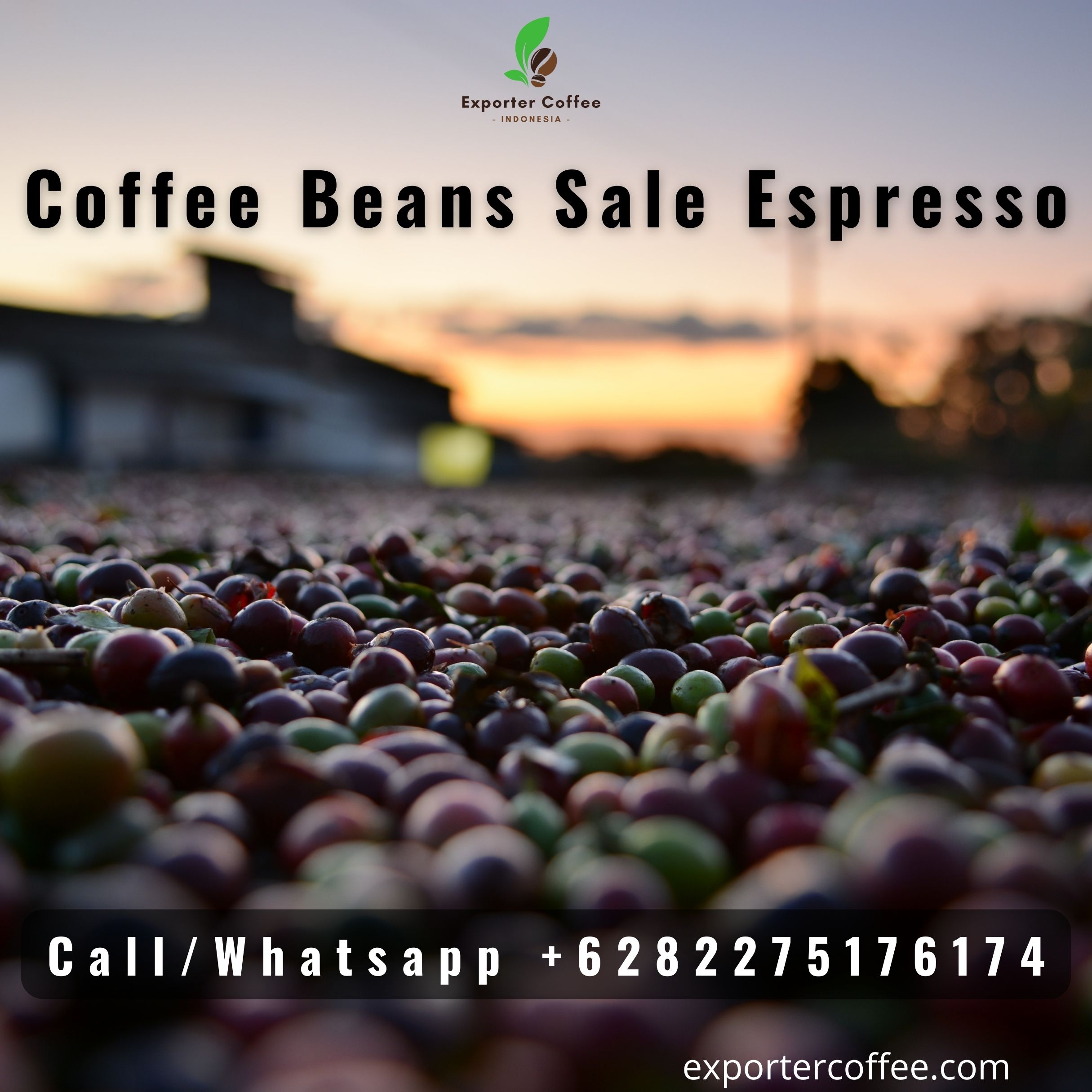 Coffee Beans Sale Espresso