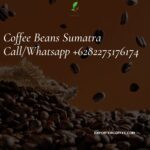 Coffee Beans Sumatra: A Journey into the World of Exceptional Flavors