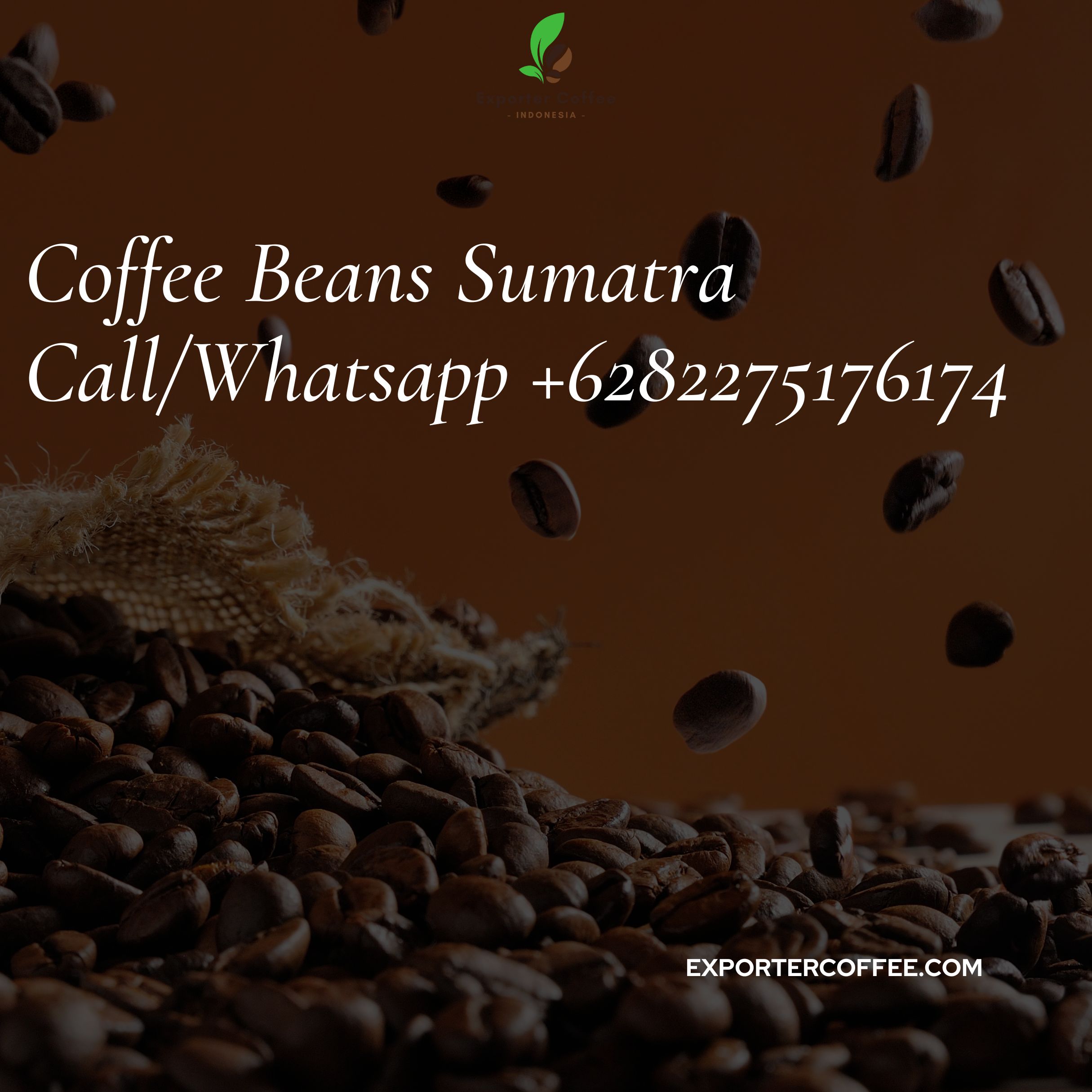 Coffee Beans Sumatra