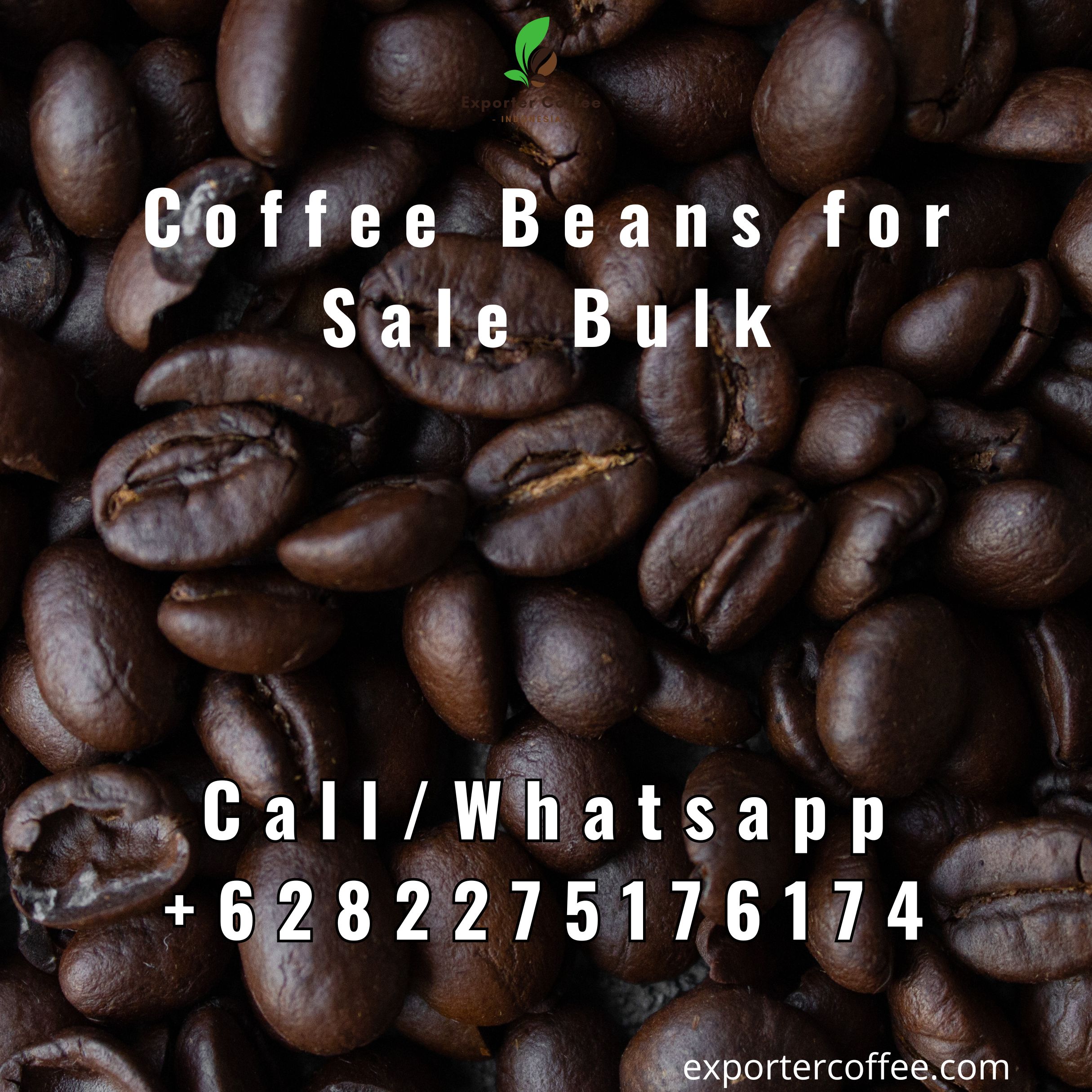 Coffee Beans for Sale Bulk