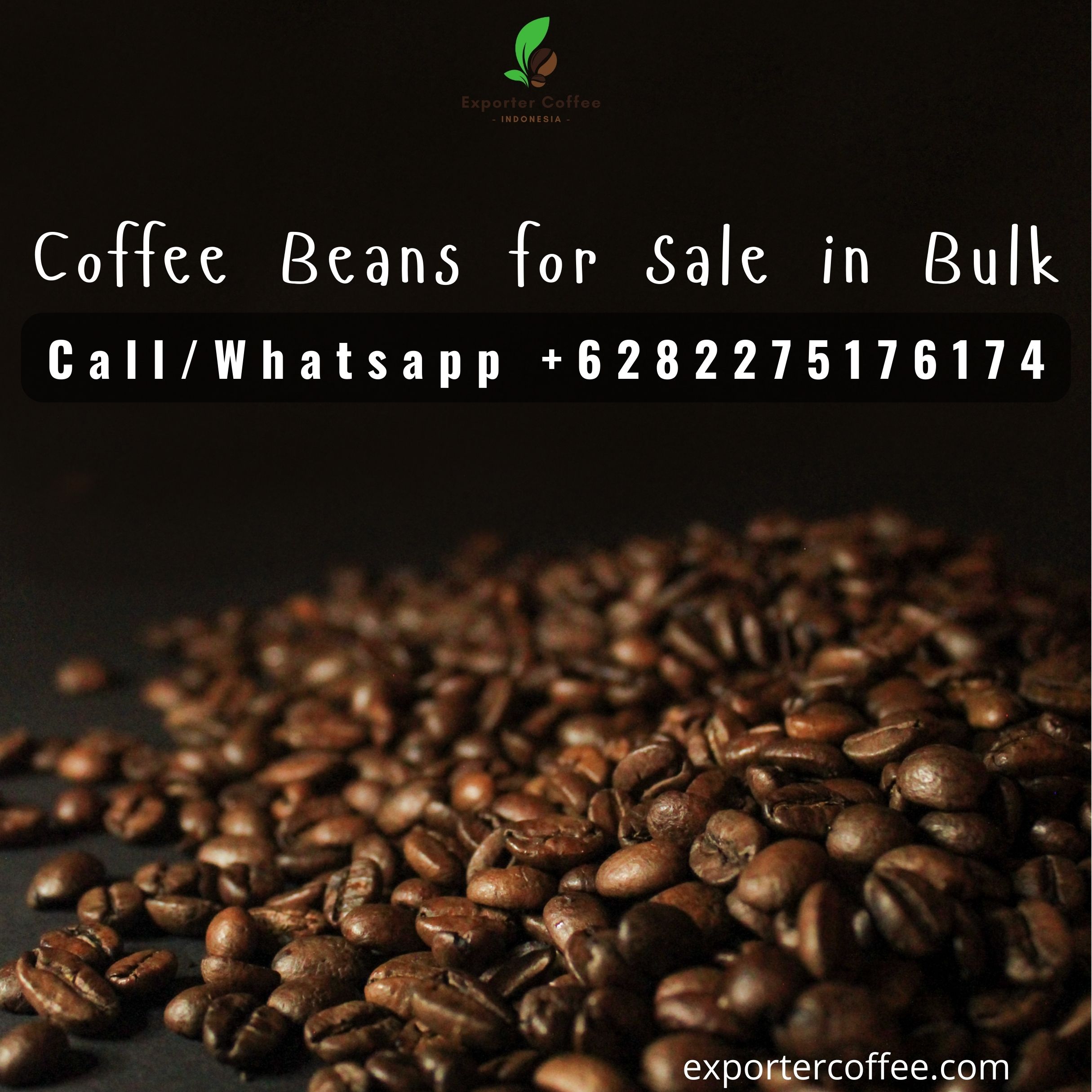 Coffee Beans for Sale in Bulk