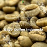 Gayo Coffee Indonesia : Offering Export of Premium Gayo Coffee from Indonesia