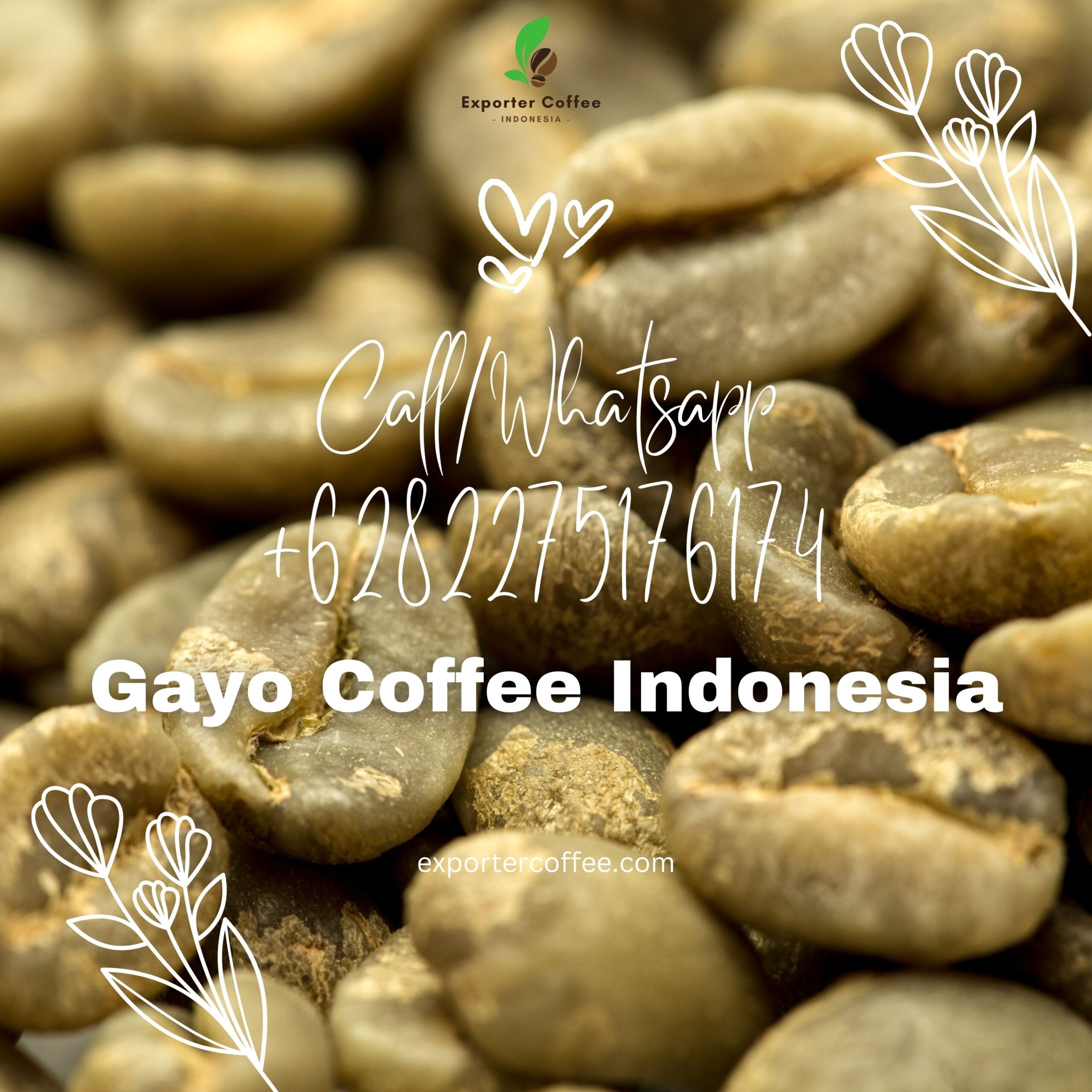 Gayo Coffee Indonesia