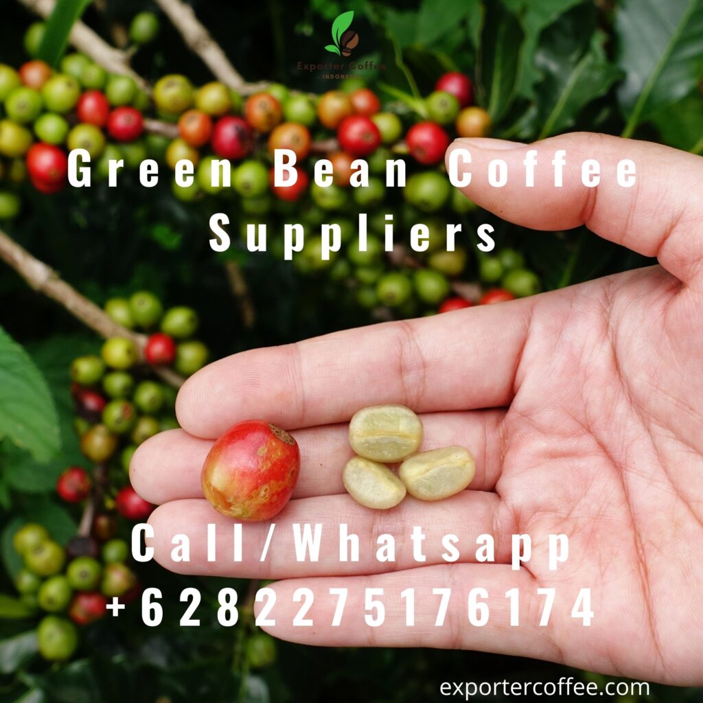 Green Bean Coffee Suppliers