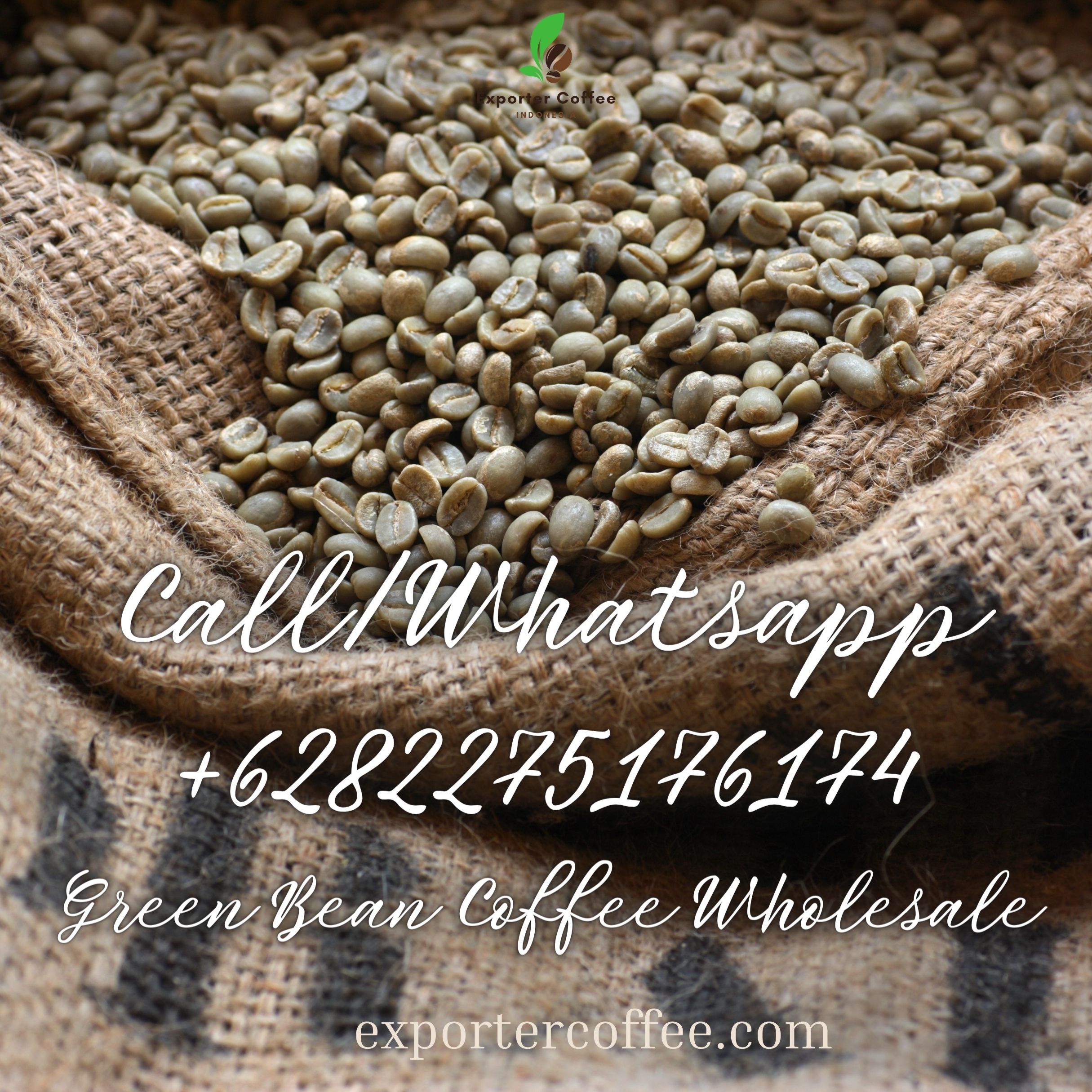 Green Bean Coffee Wholesale