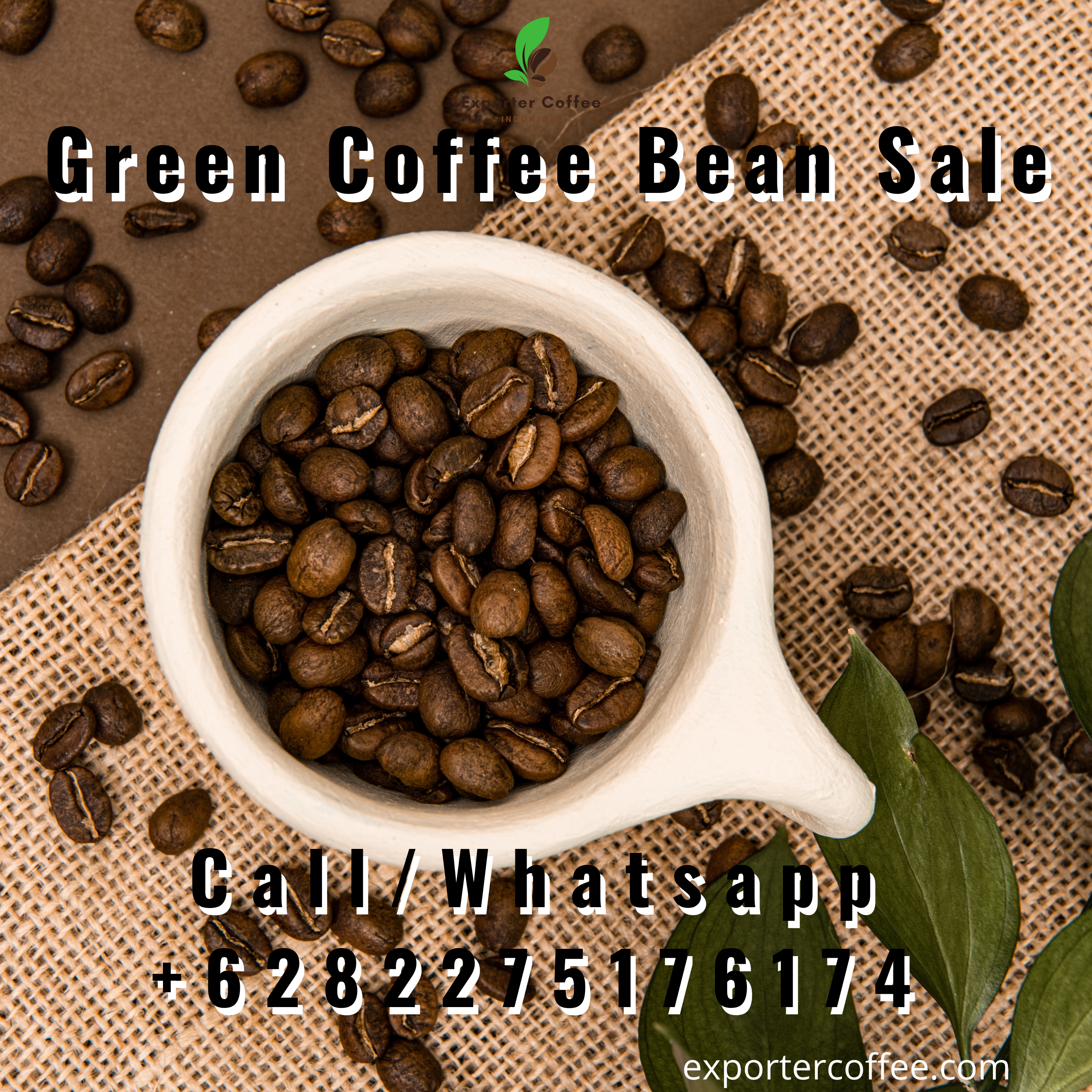 Green Coffee Bean Sale