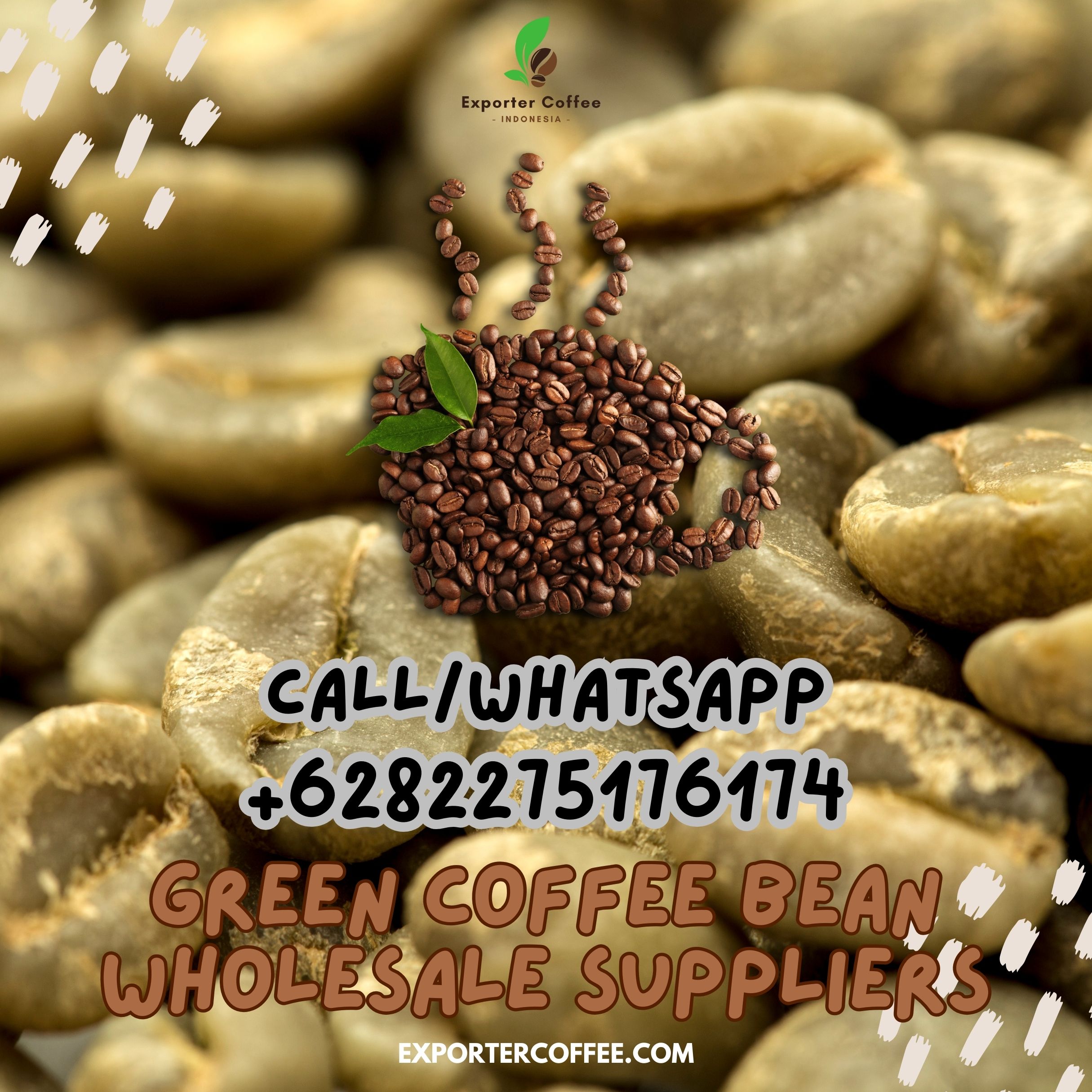 Green Coffee Bean Wholesale Suppliers