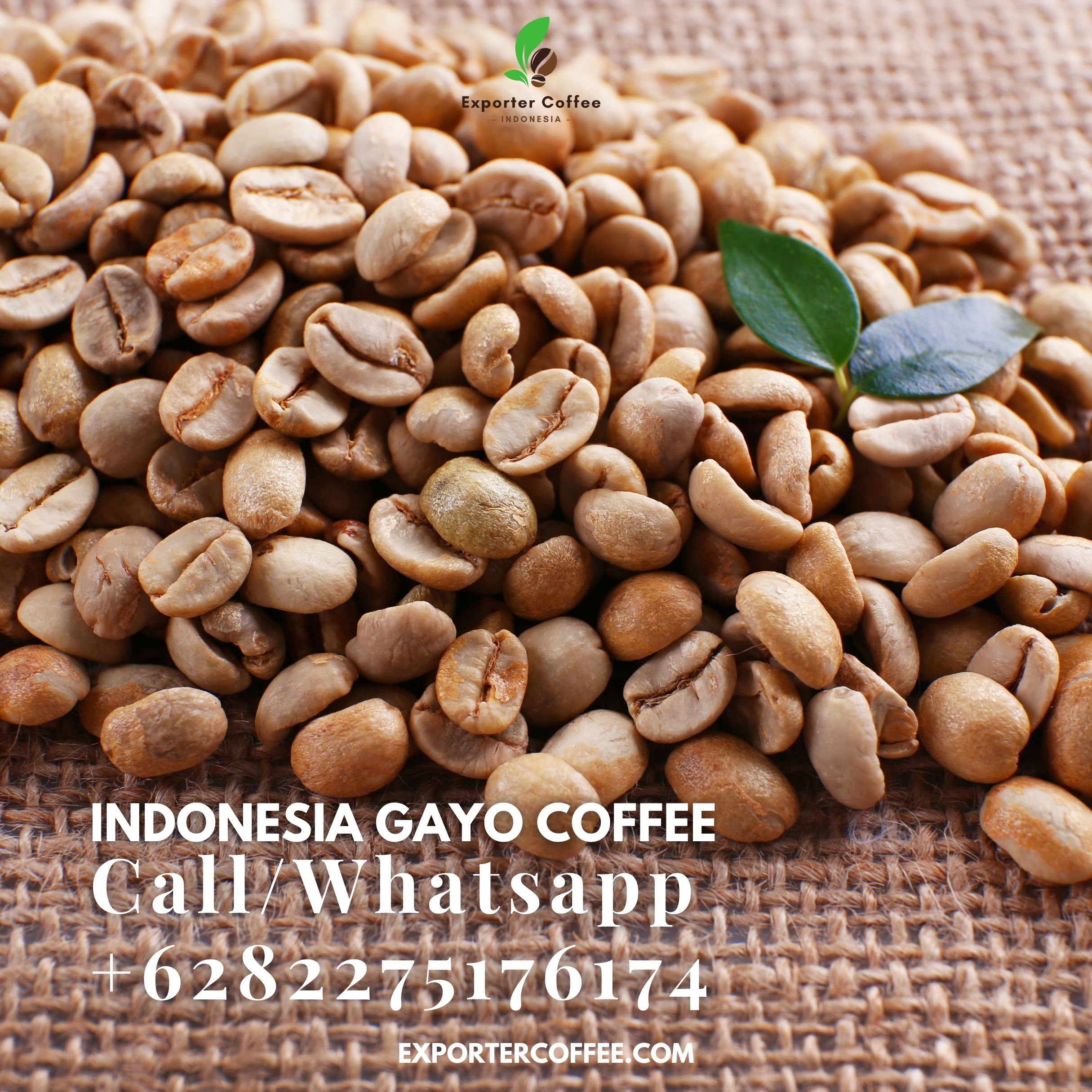  Indonesia Gayo Coffee