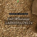 Mandheling Coffee Beans: A Taste of Sumatra’s Finest