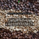 Mandheling Coffee Beans Price: Export Offer