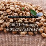 Mandheling Coffee Where to Buy, WHOLESALE