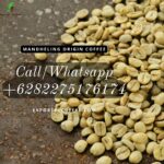 Mandheling Origin Coffee: Exquisite Export Offer from Exporter Coffee Indonesia