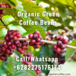 Organic Green Coffee Beans, WHOLESALE