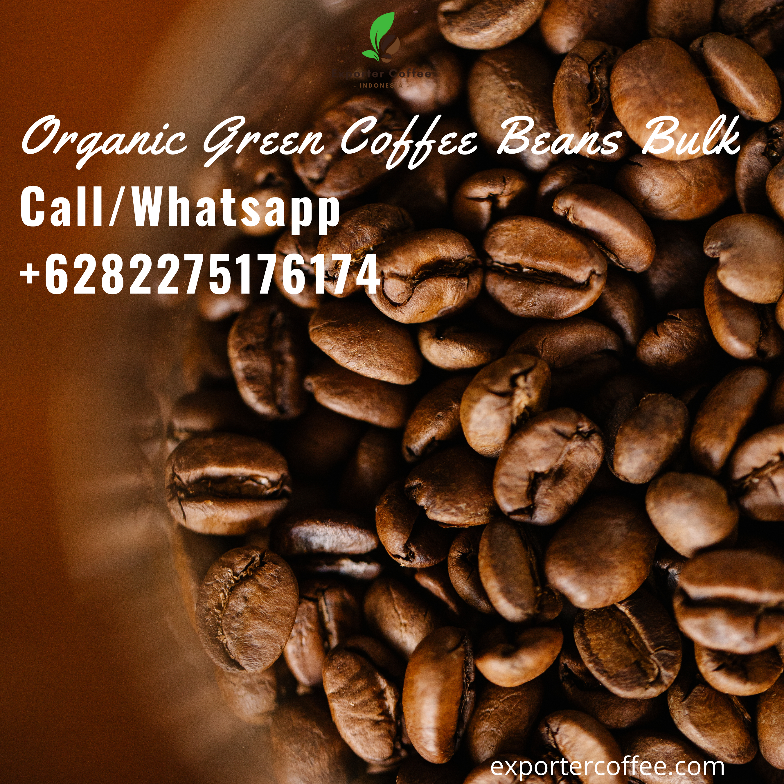 Organic Green Coffee Beans Bulk