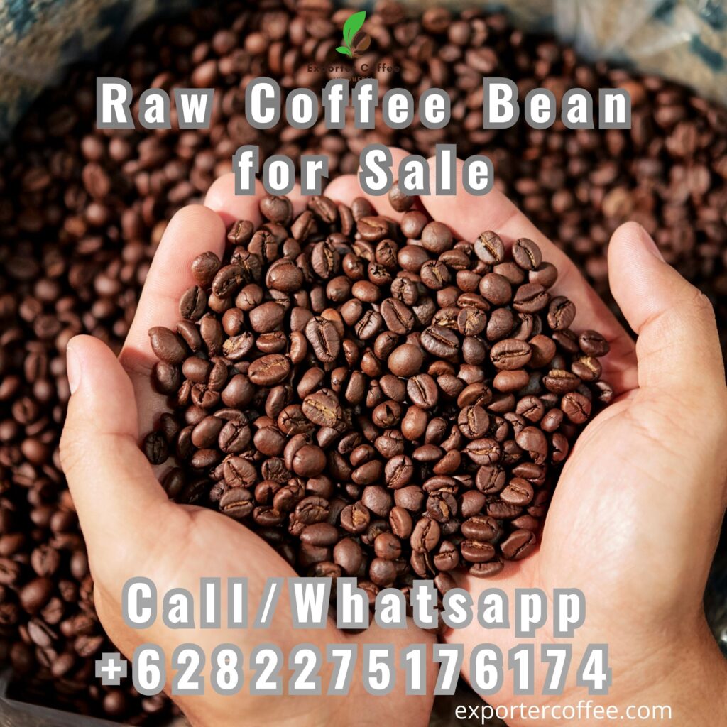 Raw Coffee Bean for Sale