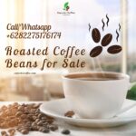 Roasted Coffee Beans for Sale – WHOLESALE