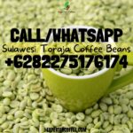 Sulawesi Toraja Coffee Beans, HIGH QUALITY