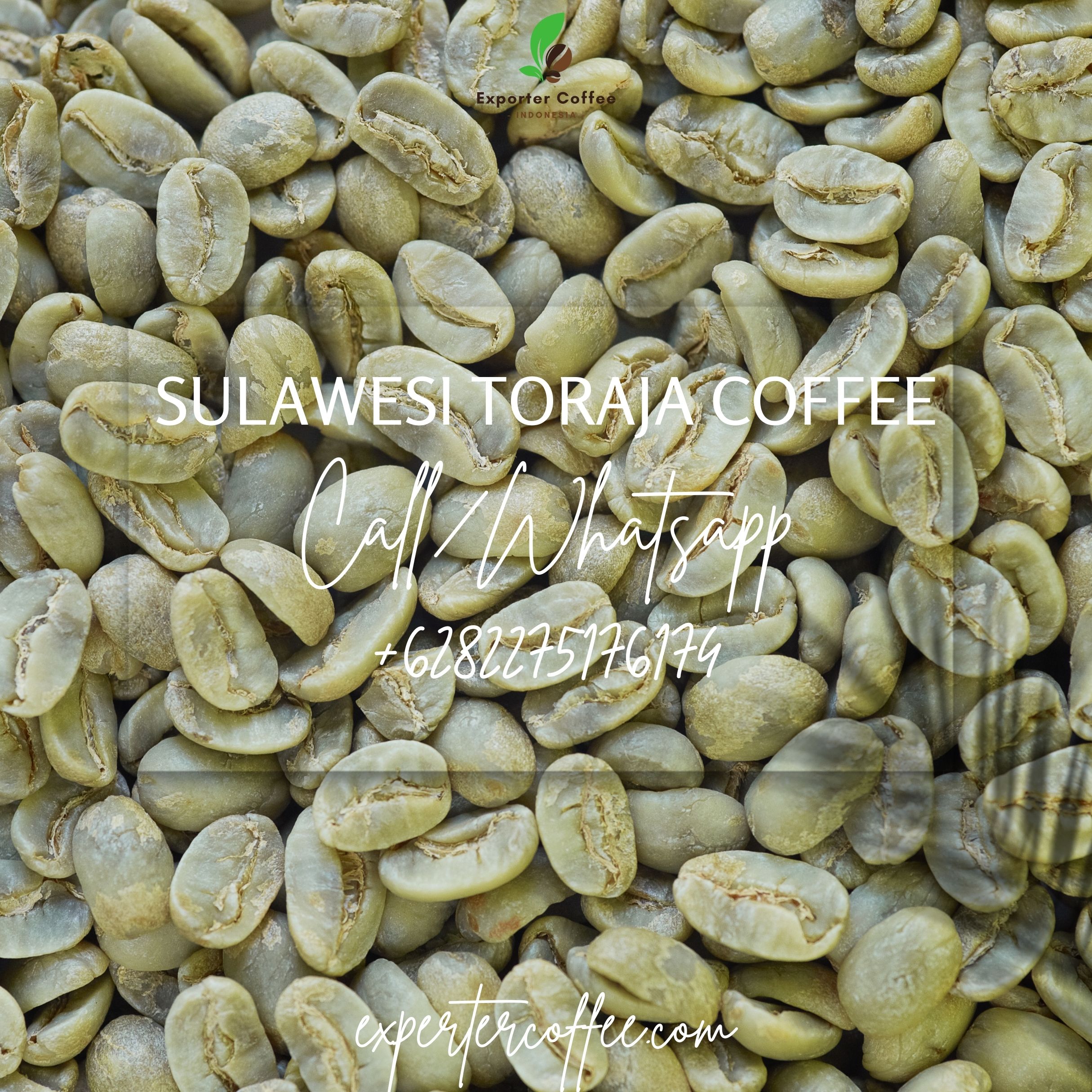 Sulawesi Toraja Coffee