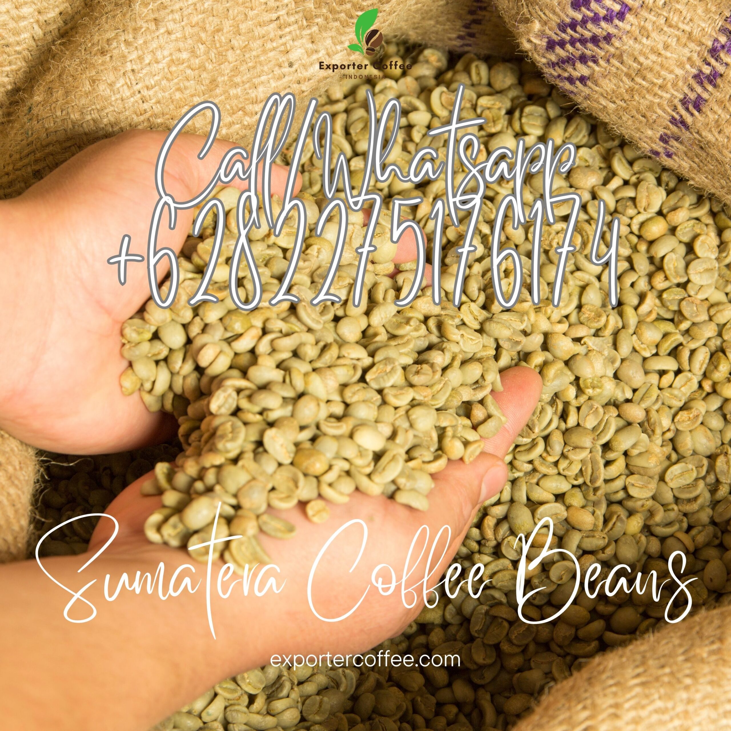 Sumatera Coffee Beans