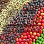 Sumatra Coffee Beans for Sale: A Taste of Excellence