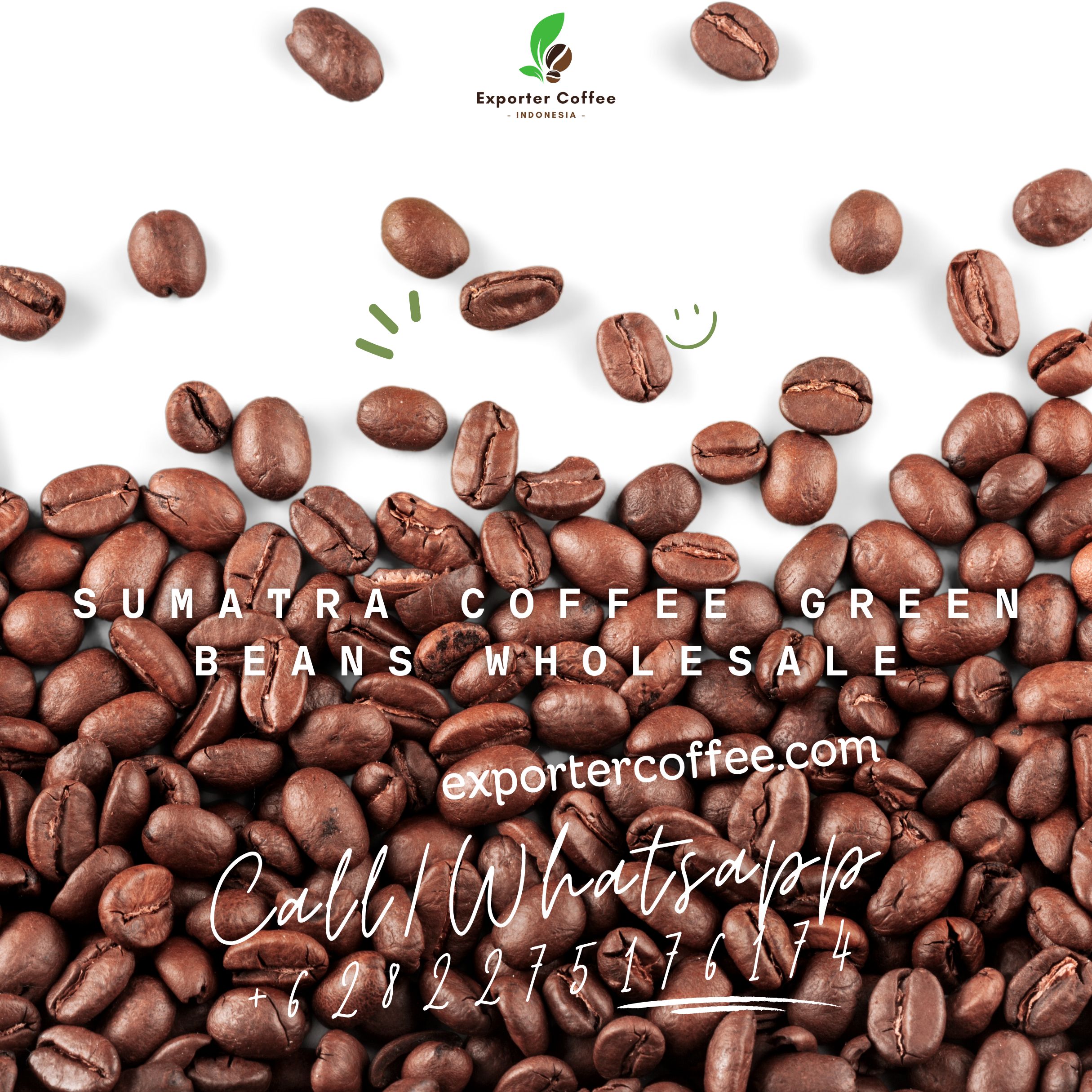 Sumatra Coffee Green Beans Wholesale