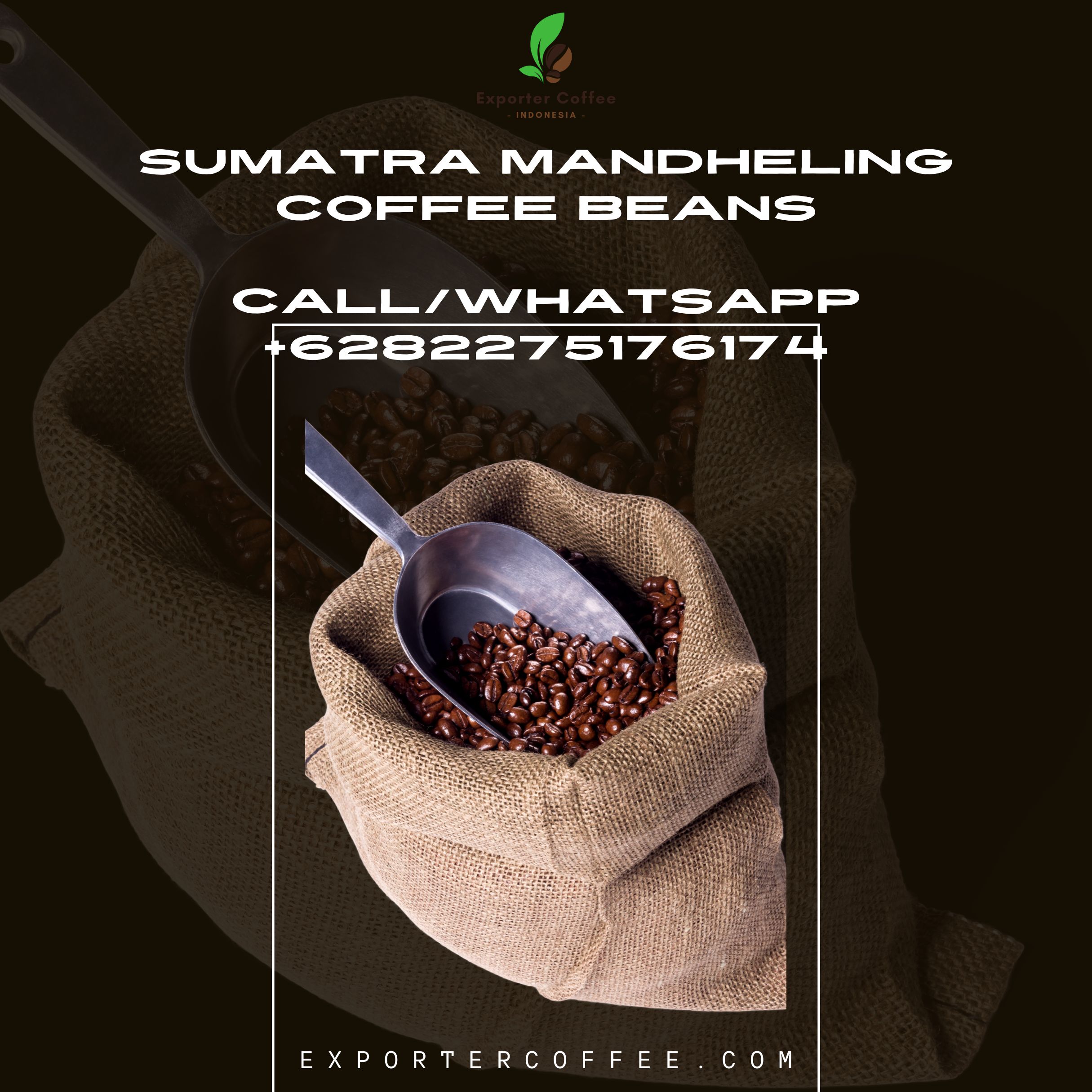 Sumatra Mandheling Coffee Beans