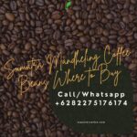 Sumatra Mandheling Coffee Beans: Where to Buy