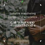 Sumatra Mandheling Coffee Characteristics,HIGH QUALITY