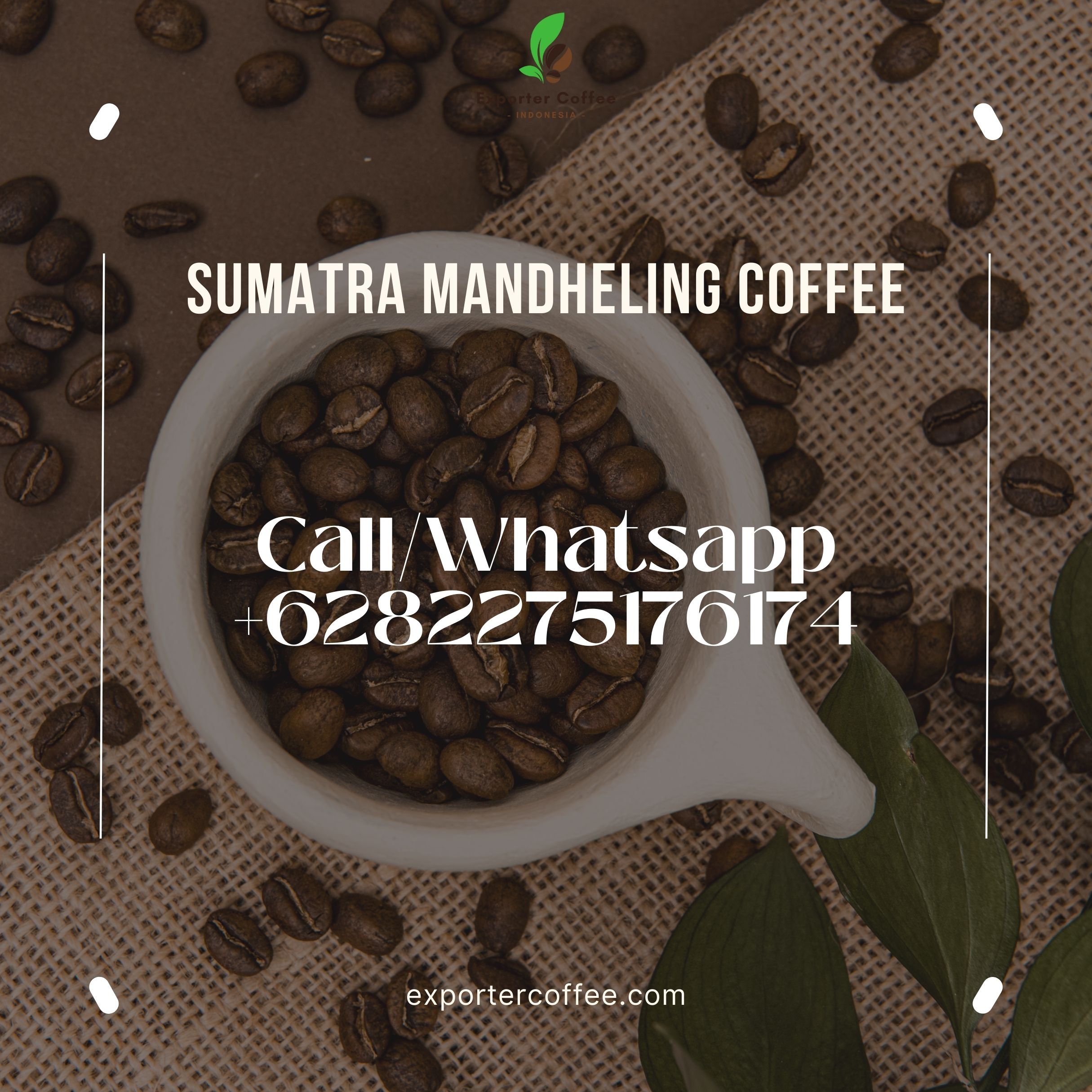 Sumatra Mandheling Coffee