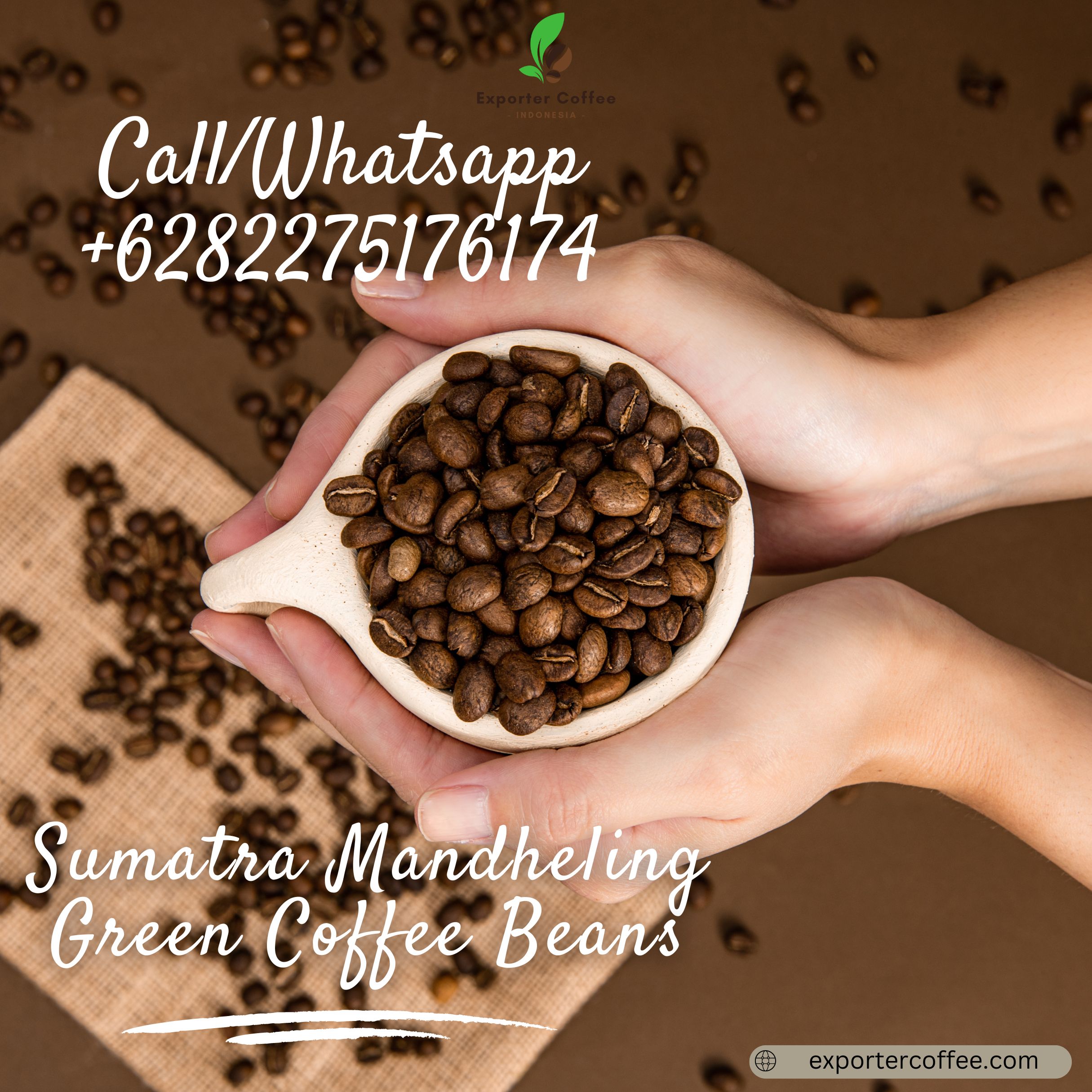 Sumatra Mandheling Green Coffee Beans