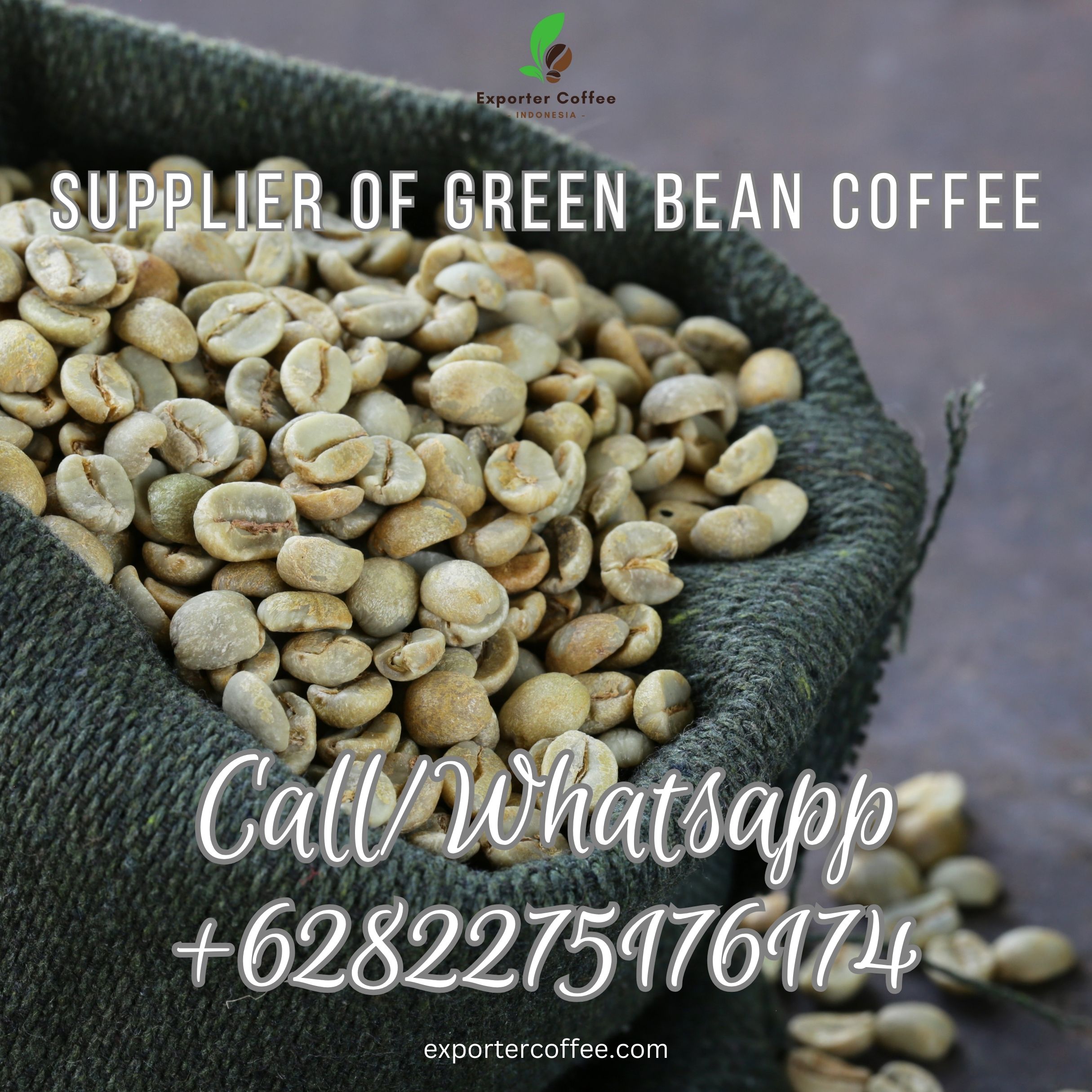 Supplier of Green Bean Coffee