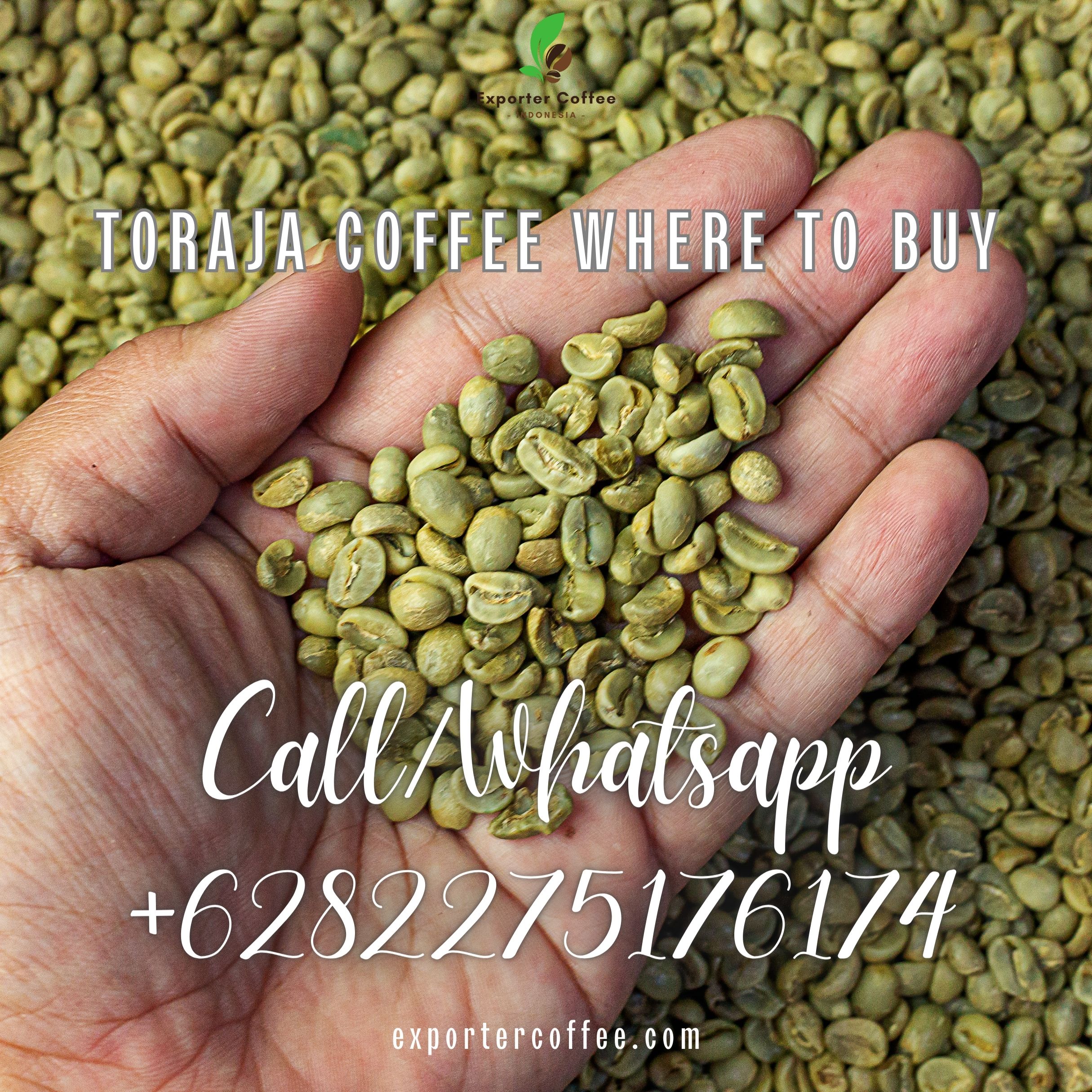 Toraja Coffee: Where to Buy