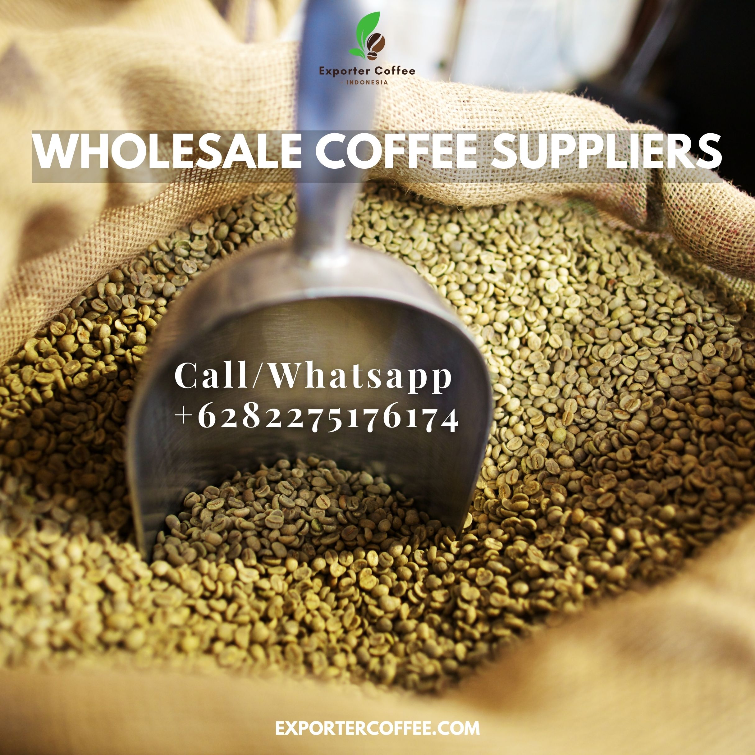 Wholesale Coffee Suppliers