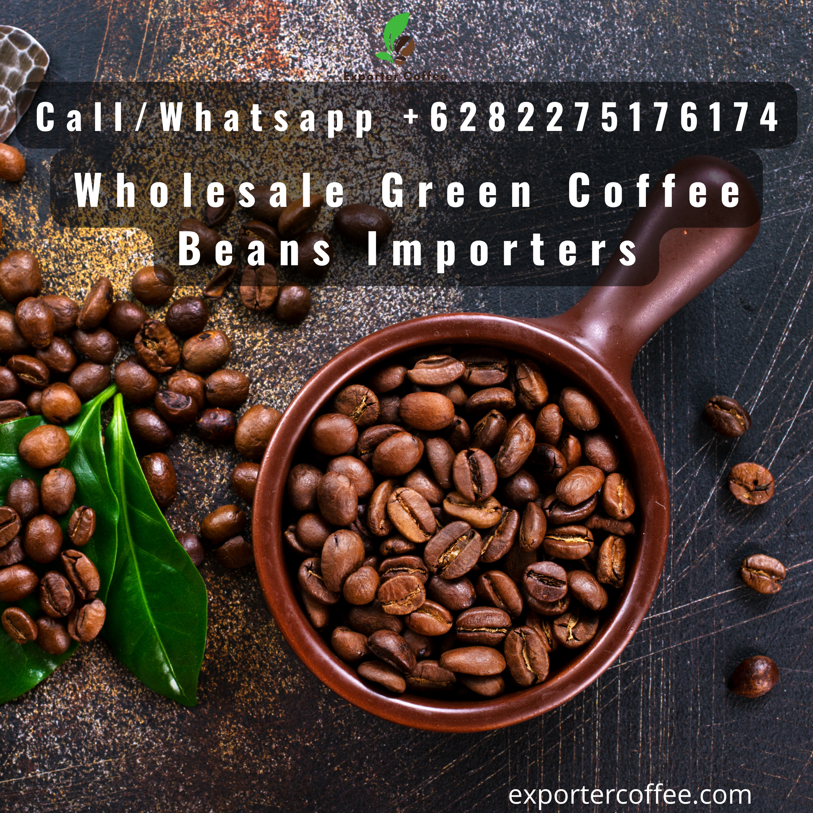 Wholesale Green Coffee Beans Importers