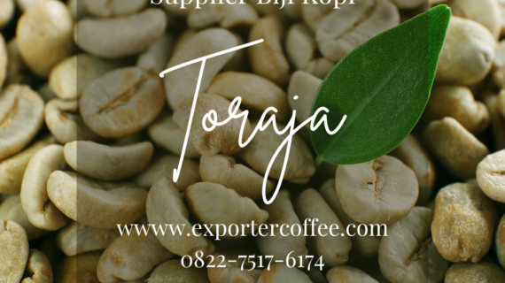 Tempat Jual Biji Kopi Toraja: Pilihan Terbaik untuk Menikmati Kopi Arabika Terbaik