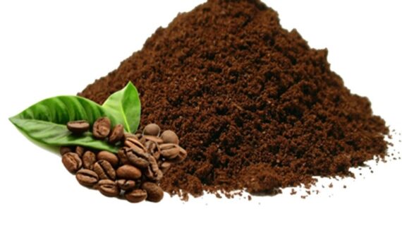 Jual Bubuk Kopi Gayo di Medan Berkualitas dengan Citarasa Istimewa