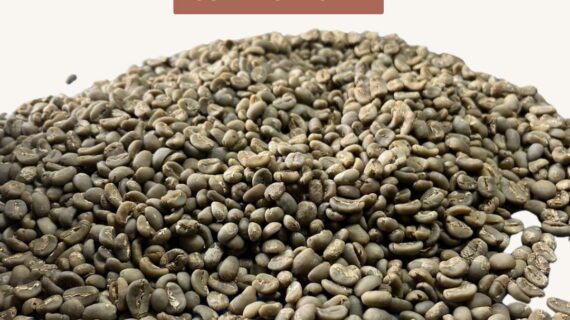 Jual Kopi Gayo Aceh Berkualitas Grade A yang Terpercaya