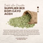 Supplier Biji Kopi Gayo Aceh: Pilihan Terbaik untuk Kualitas dan Keunggulan